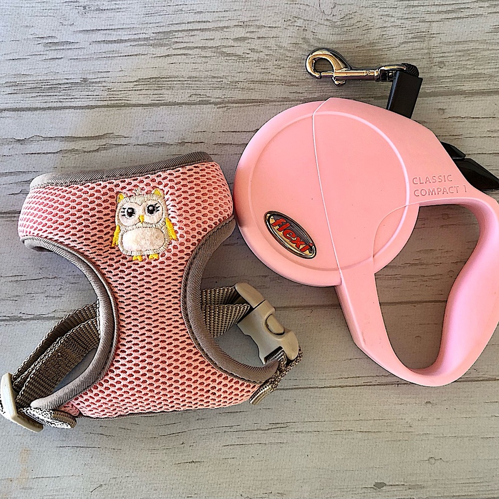 Small Dog or Cat Harness & Leash. Pink